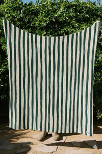 SUNDREAM STRIPE PLUSH THROW BLANKET