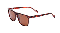 I-SEA DAX POLARIZED LENS SUNGLASSES