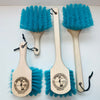 four teal surf brushes