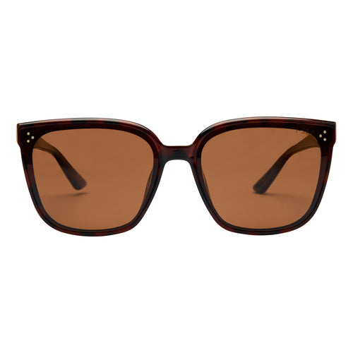 Sunglasses with brown lenses and tortoiseshell frame on a white background