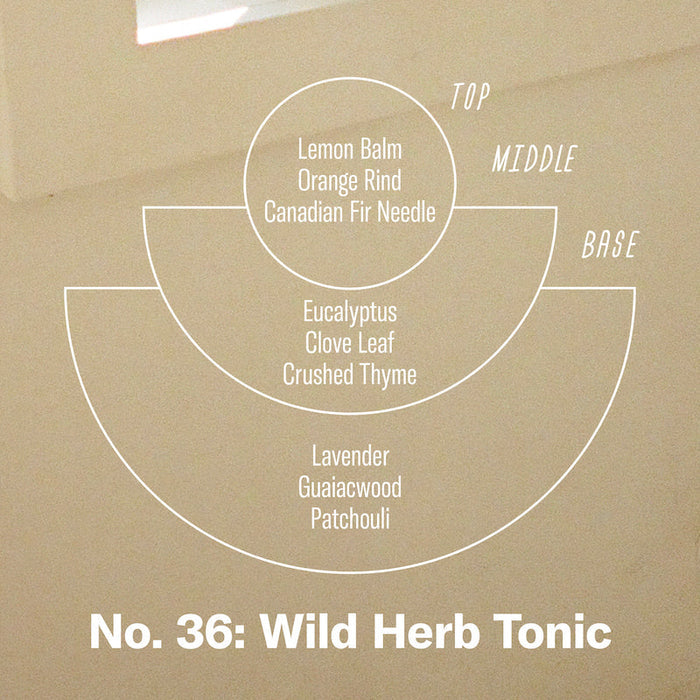 PF CANDLE CO. WILD HERB TONIC- 3.5 OZ MINI CANDLE