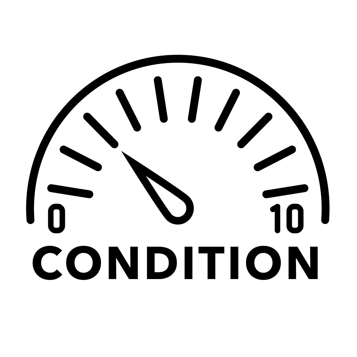 condition-icon-3