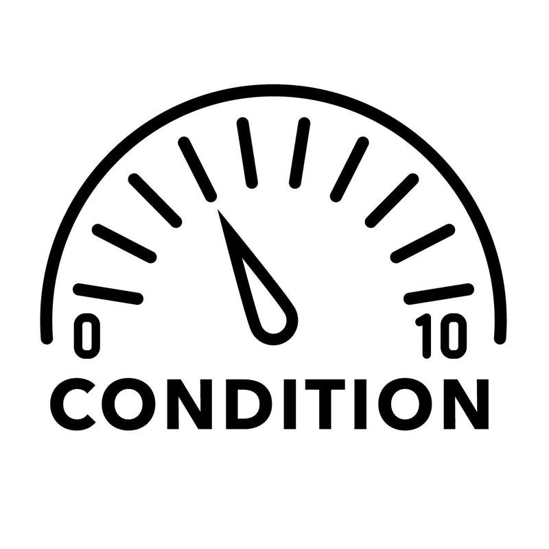 condition-icon-4