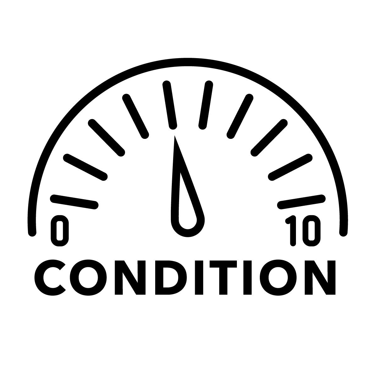 condition-icon-5