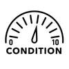 condition-icon-6
